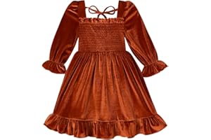 YOUNGER TREE Toddler Girls Fall Dress Winter Clothes Long Sleeve Velvet Dresses Princess Party Outfits