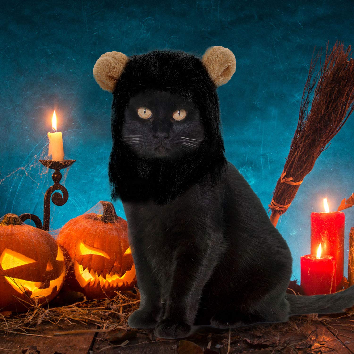 Legendog Lion Mane Wig for Cats, Cat Halloween Costume, Black Lion Mane, Cute Halloween Pet Apparel for Cats