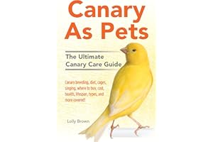 Canary As Pets: Canary breeding, diet, cages, singing, where to buy, cost, health, lifespan, types, and more covered! The Ult