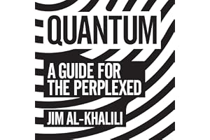 Quantum: A Guide for the Perplexed