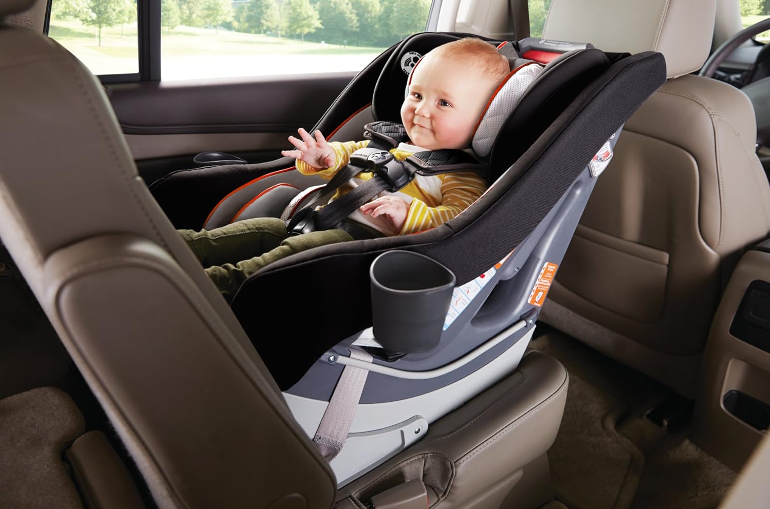 graco contender dimensions