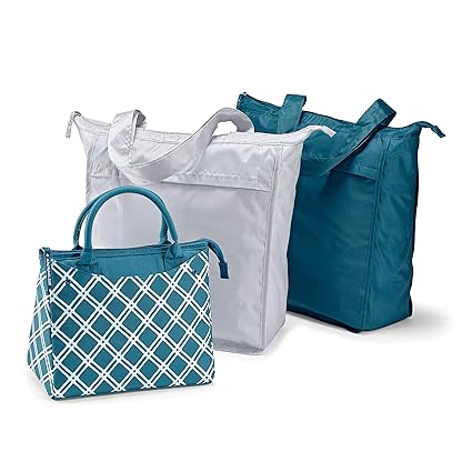 rachel ray market tote