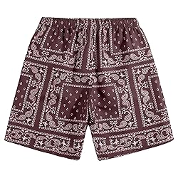 DIOTSR Mens Paisley Casual Shorts Retro Graphic