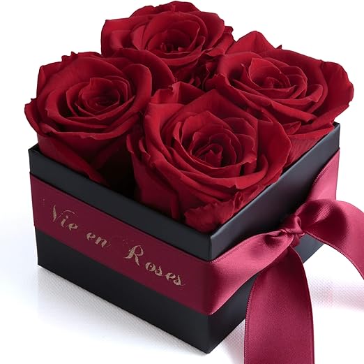 Rosemarie Schulz Scatola Con Rose La Vie En Rose 4 Rose Conservate Della Durata Di 3 Anni Per Pegno D Amore Fidanzamento Proposta Di Matrimonio Amazon It Giardino E Giardinaggio