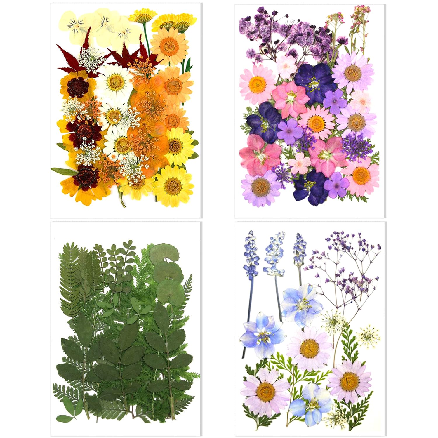 Photo 1 of 106 Pieces Assorted Real Dried Pressed Flowers Leaves Natural Dry Flower for Resin, Cake Decor,Crafts, Candles, Soap Making, Scrapbook Supplies(Pink,Purple,Yellow,Green)