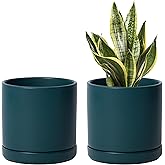 D'vine Dev Set of 2 Plants Pots, 6 Inch Ceramic Planter Pot for Plants with Drainage Hole and Saucer, Teal, 94-V-C-9