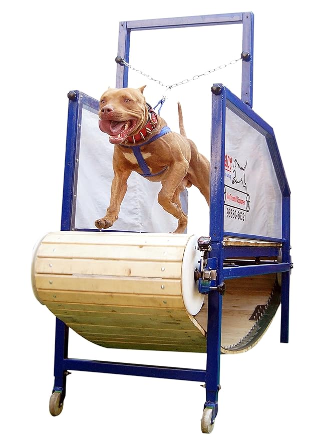 manual treadmill for dogs