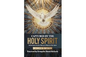 Captured by the Holy Spirit: An Invitation into the Mystery and Majesty of the Spirit