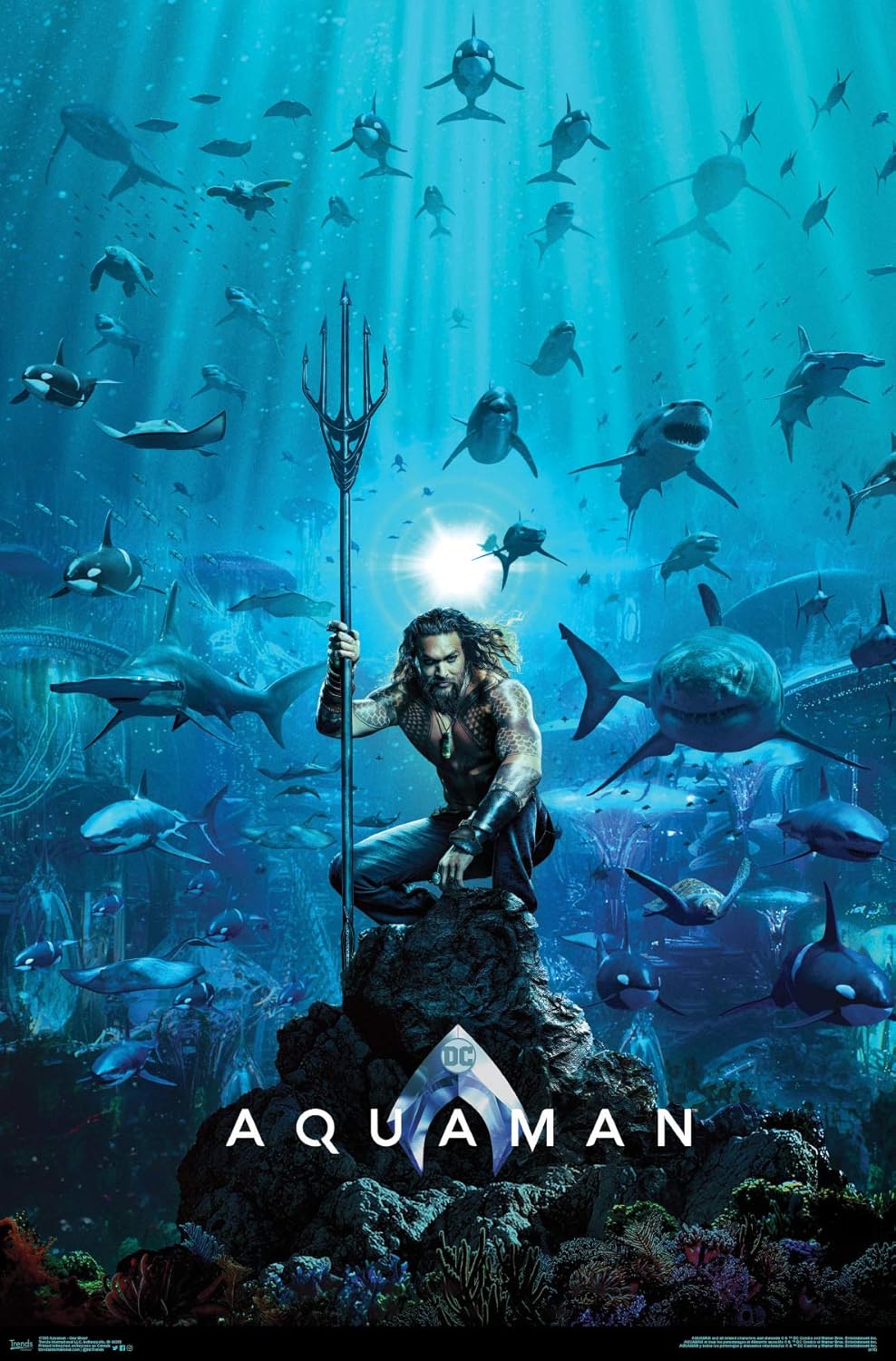 Trends International DC Comics Movie - Aquaman - One Sheet, 22.375