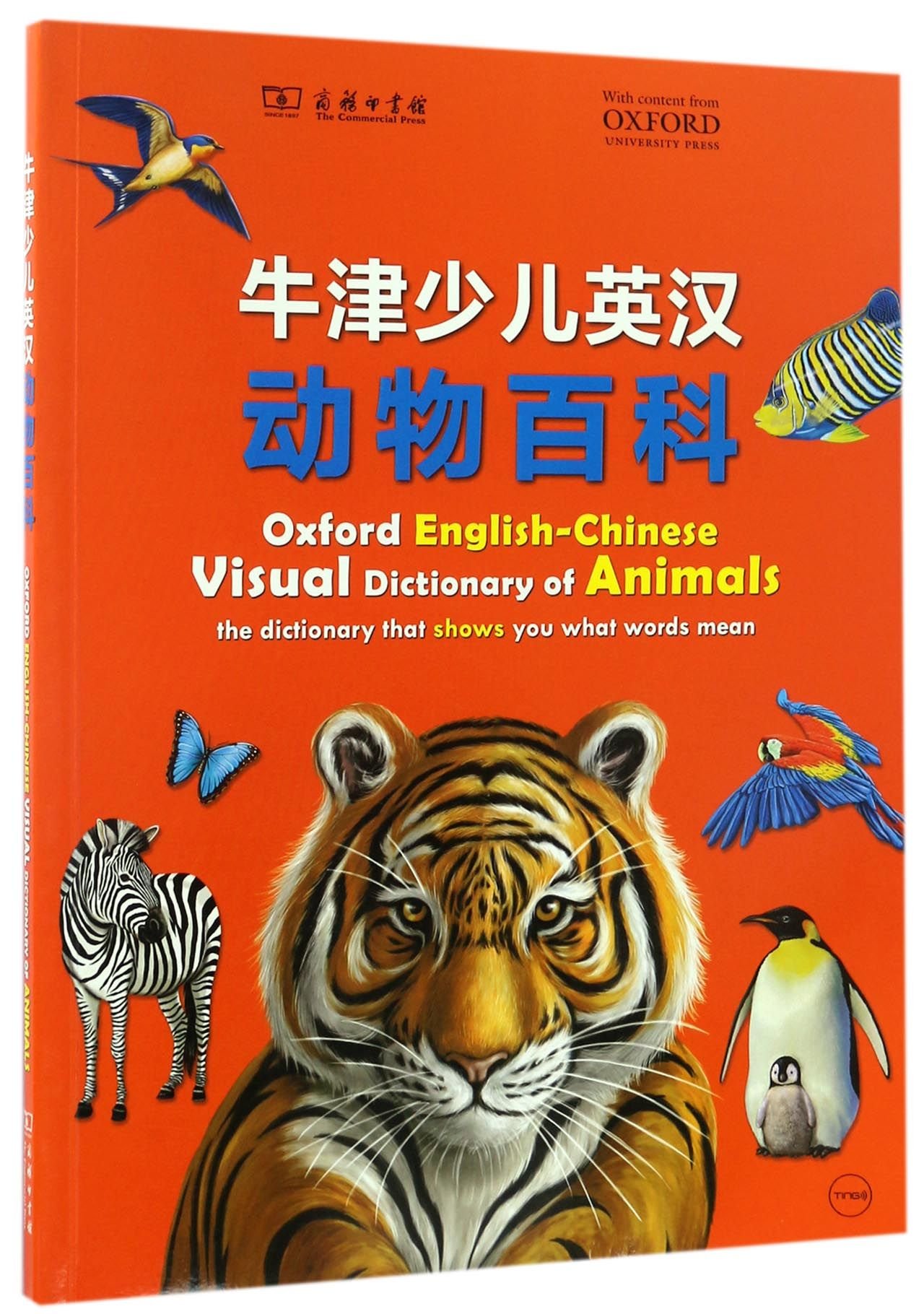 Ingilizce Fal Ne Demek Salsa Ingilizce Fal Ne Demek Salsa