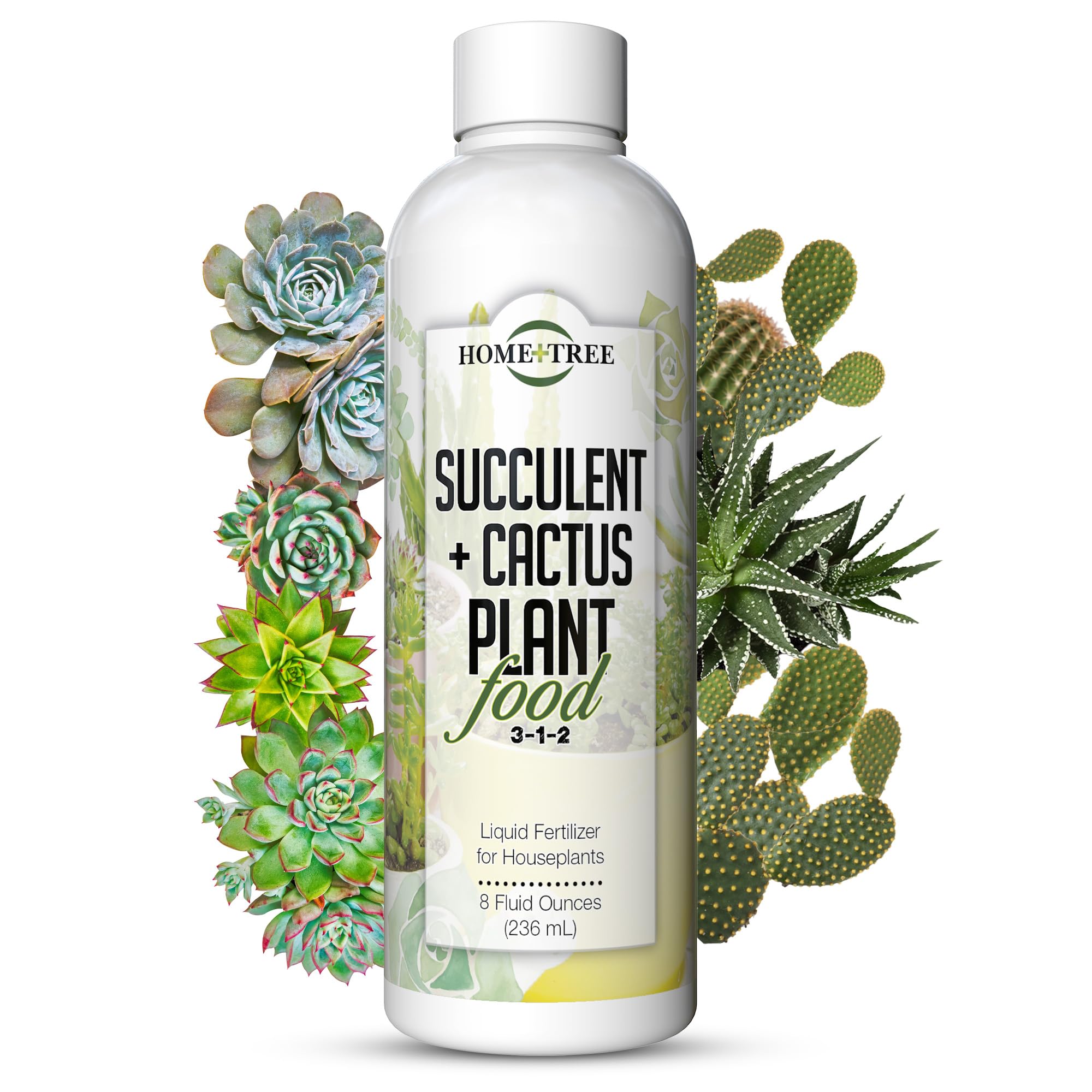 Photo 1 of Succulent and Cactus Fertilizer by Home + Tree - Every Bottle Sold Plants A Tree