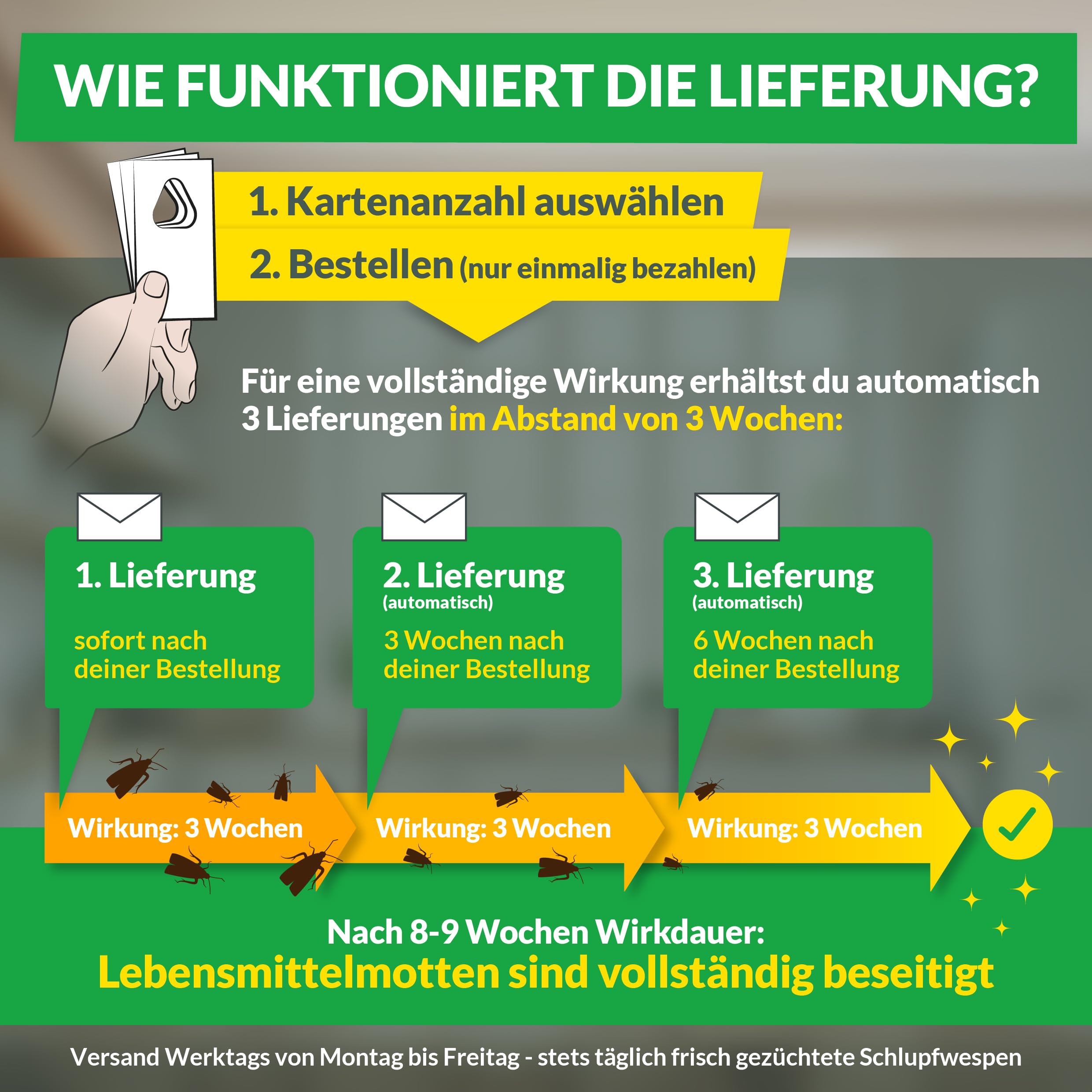 Hey Nature® Schlupfwespen gegen Lebensmittelmotten, 12 Karten (4 Karten à 3 Lieferungen). Effektiv Lebensmittelmotten bekämpfen mit Schlupfwespen gegen Motten. Alternativ zu Mottenkugeln & Mottenspray 4