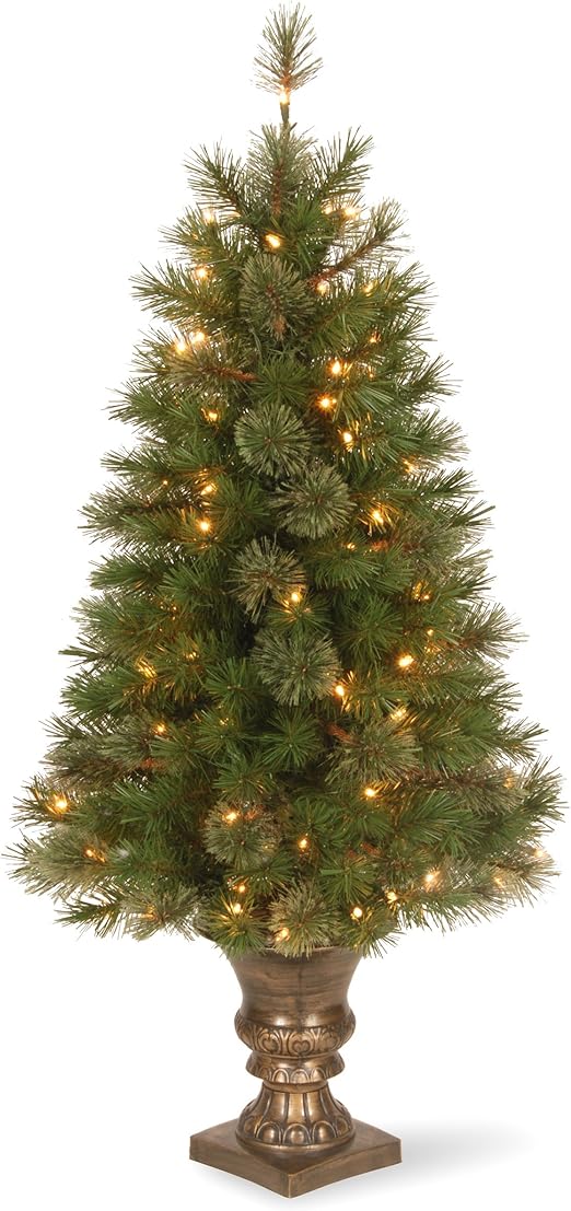 Amazon Com National Tree 4 Foot Atlanta Spruce Entrance Tree With