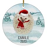 Santa Hat and Scarf Welcome Winter White Hedgehog