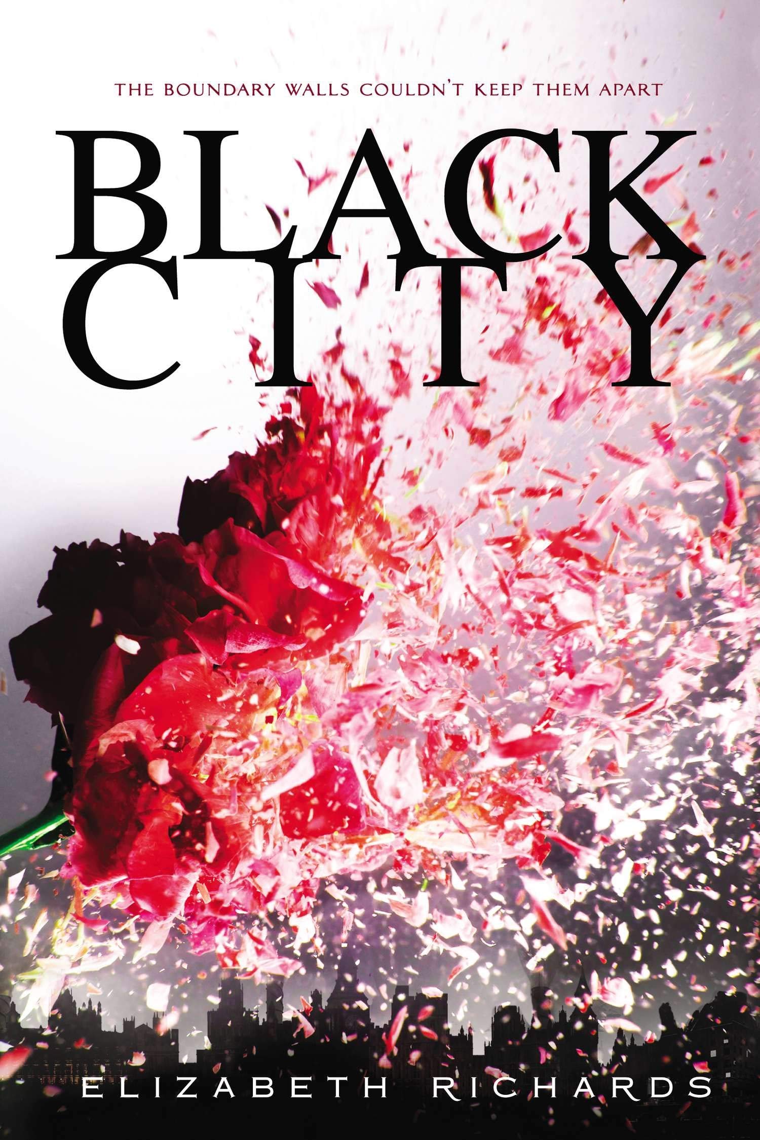 Amazon Com Black City A Black City Novel 9780142427224 Richards Elizabeth Books
