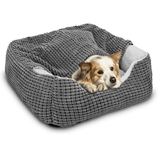 Omss storeFurhaven Pet and Suede Top Blanket Dogs and for Berber Cats