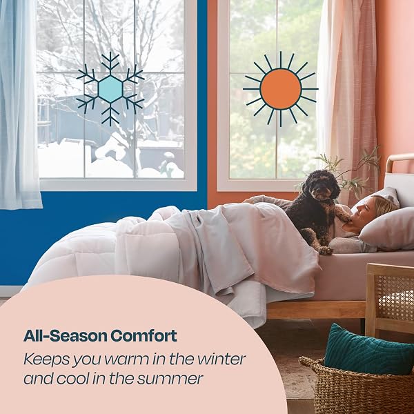 LINENSPA WHITE DOWN ALTERNATIVE COMFORTER AND DUVET INSERT – ALL-SEASON COMFORTER WITH BOX STITCH AND 8 DUVET LOOPS – BEDDING FOR KIDS, TEENS, AND ADULTS – QUEEN