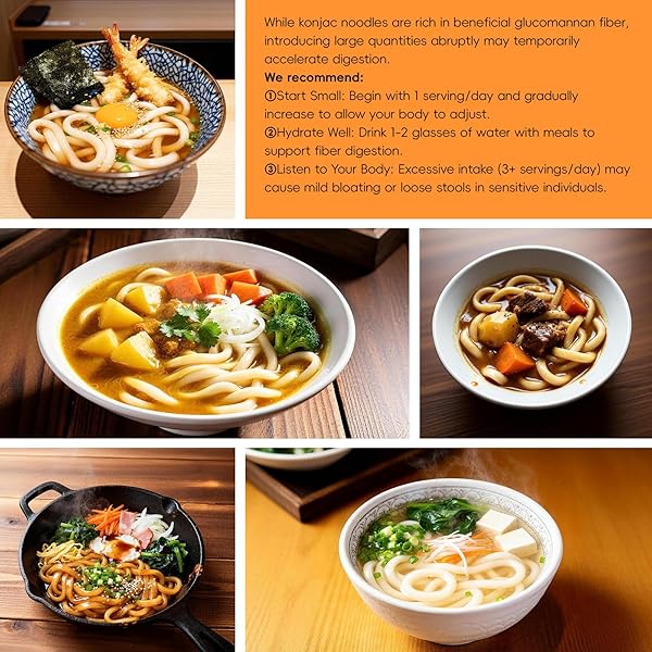 YUHO ORGANIC KONJAC SHIRATAKI UDON NOODLE, 10 PACKS, CLOSER TO PASTA GLUTEN FREE LOW CARB HEALTH NOODLES PLANT BASED VEGAN FOR QUICK MEALS, 56.5 OZ