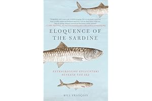 Eloquence of the Sardine: Extraordinary Encounters Beneath the Sea