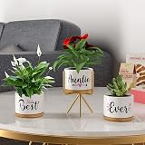 TuDou Best Auntie Ever Ceramic Succulent Pots Gift Set view 4