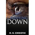 Crashing Down (Martina Monroe Crime Thriller)