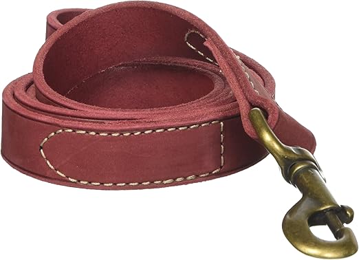 red leather dog leash