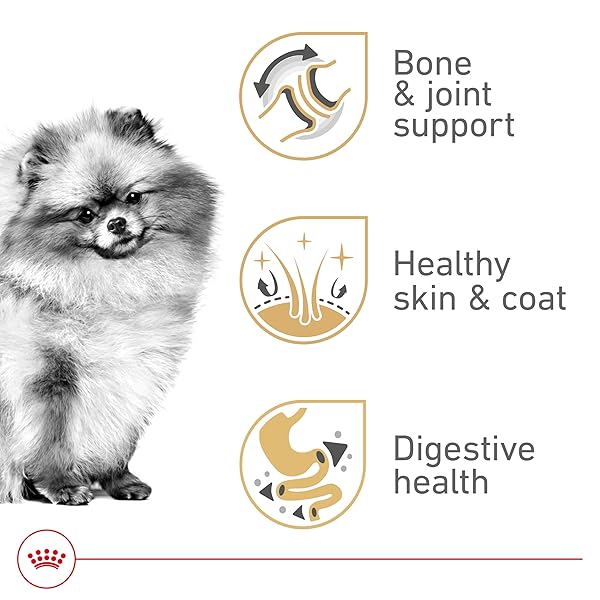 ROYAL CANIN BREED HEALTH NUTRITION POMERANIAN DRY DOG FOOD, 2.5 LB BAG