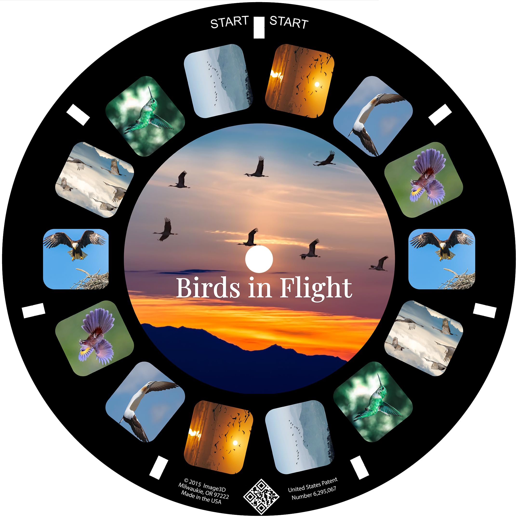 MayKo Bird Reels for Viewfinder Compatible View Master Viewers. Set of 3 (Reels Only)