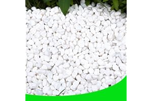 CJGQ White Pebbles for Plants Garden 18 lb White Rocks Gravel Decorative Stones Landscaping Vase Fillers 1/2"