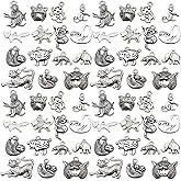 Youdiyla 75Pieces Animal series Antique Silver Pendant Jewelry Making DIY Keychain Earrings Pendant Various Design Charms for Jewelry Making Bracelets Necklace (SN676)