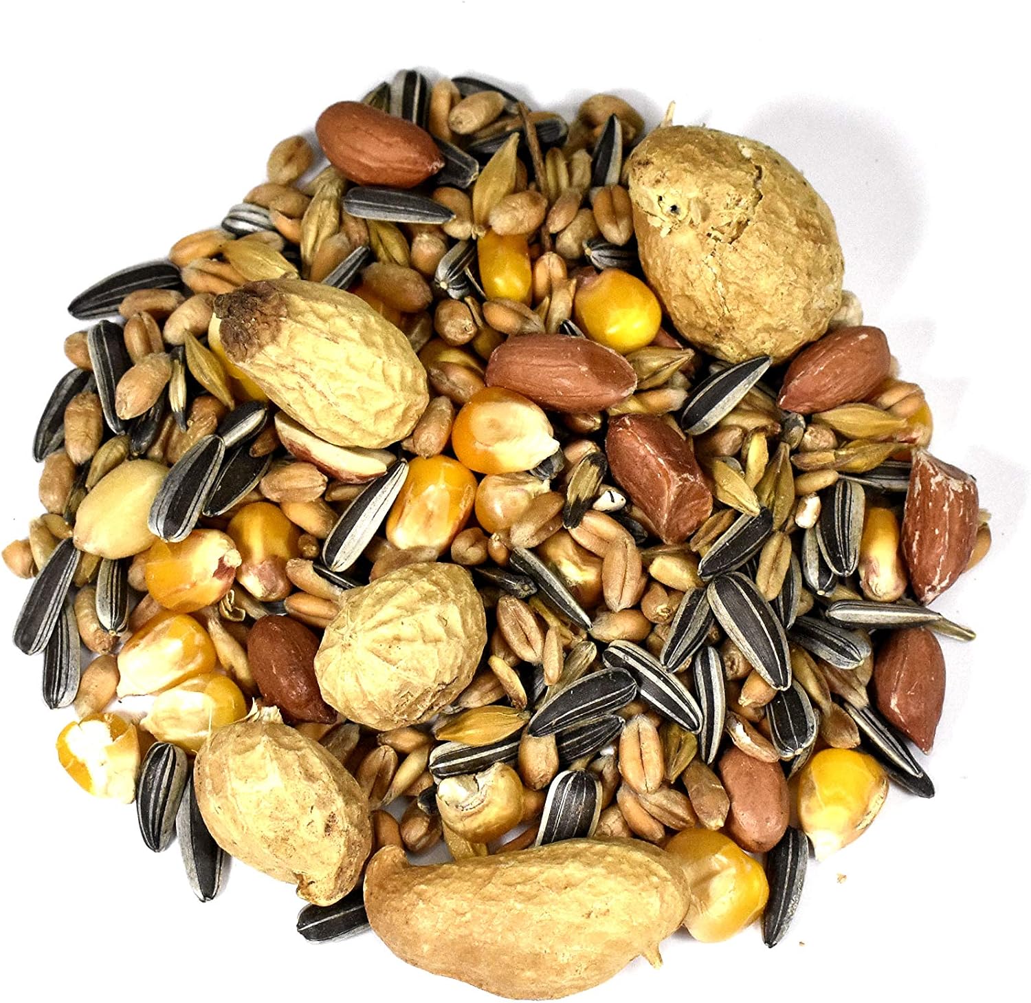 Britten & James High Energy Squirrel Food 100% Natural in a Stay Fresh 5L Tub (3kg), 3 kg (Pack of 1) - Image 3