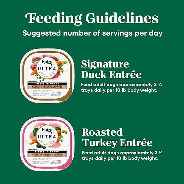 NUTRO ULTRA WET DOG FOOD GRAIN FREE FILETS IN GRAVY DUCK & ROASTED TURKEY VARIETY PACK, 3.5 OZ. TRAYS (12 COUNT, PACK OF 1)