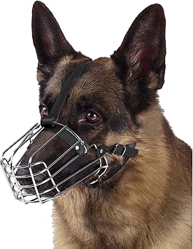 Der Richtige Maulkorb Beisskorb Fur Deinen Hund Ein Ratgeber