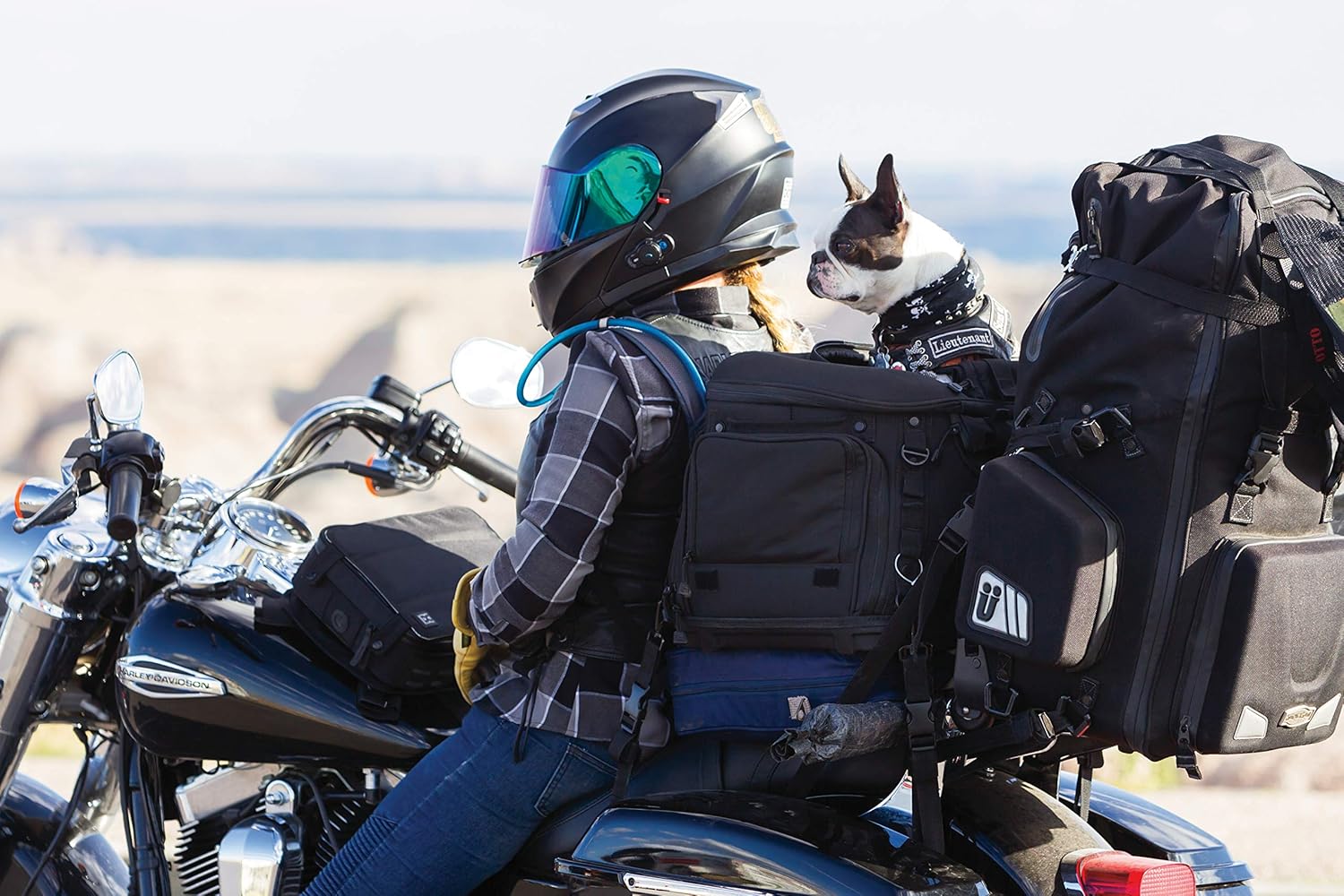 saddlemen pet carrier