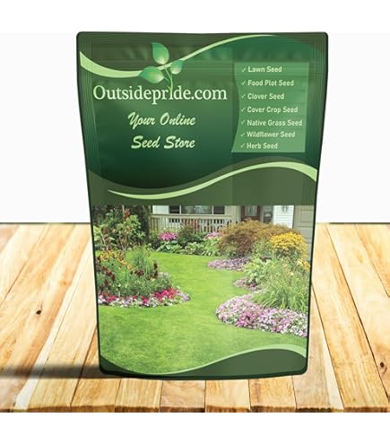 Amazon.com : Barenbrug 76202 Pensacola Bahia Seed, 2 lb. : Patio, Lawn &  Garden