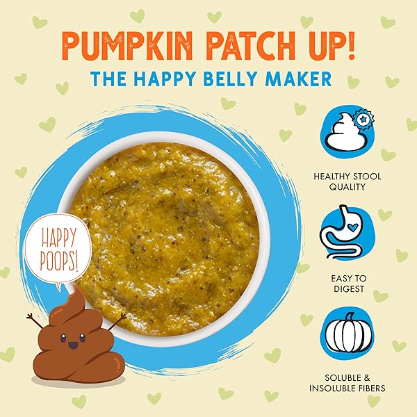 WERUVA PUMPKIN PATCH UP! PUMPKIN POUCHES FOR DOGS & CATS