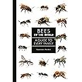 Bees of the World: A Guide to Every Family