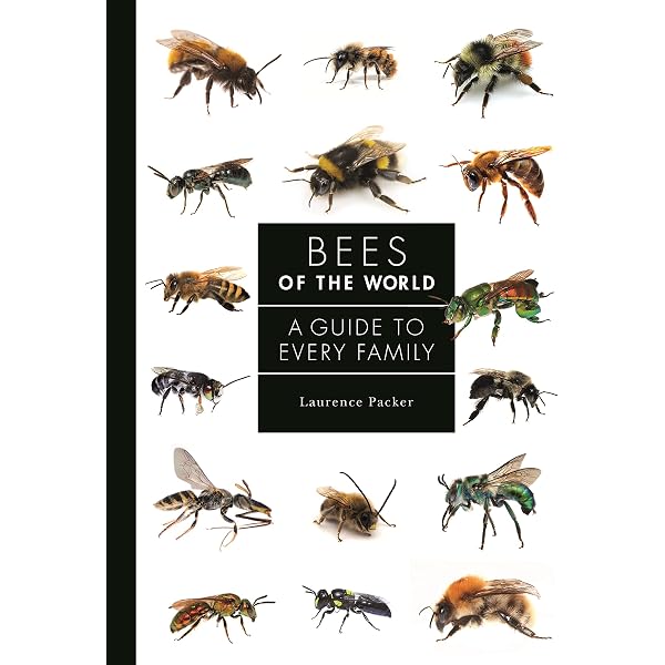A Guide to Native Bees of Australia: Houston, Terry: 9781486304066