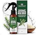 Botanic Hearth Rosemary Rice Water Hair Spray, Strengthening & Moisturizing Hair Treatment for Thinning & Damaged Hair, All H