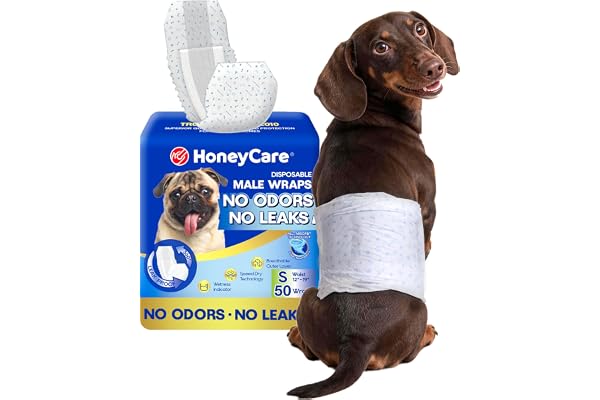 HONEY CARE All-Absorb A26 Male Dog Wrap, 50 Count, Small