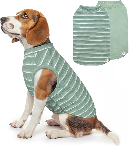 Amazon.com : Tooth & Honey Big Dog/Stripe Shirt/Pullover/Full