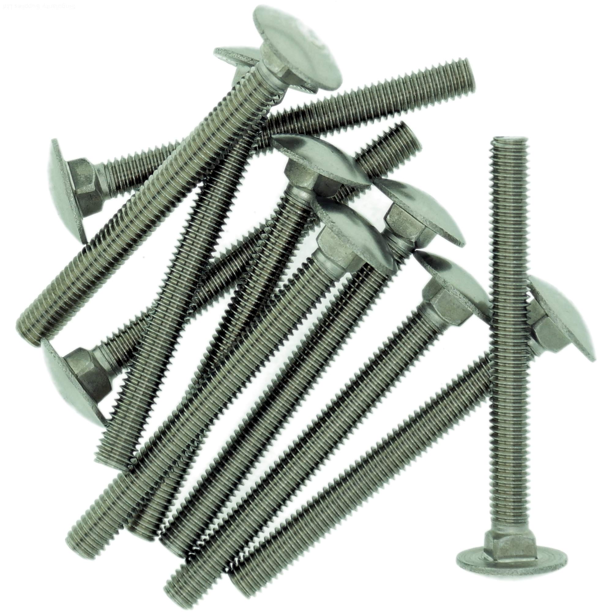 M6 (6mm x 12mm) Cup Square Carriage Bolt (Fully Threaded) - Stainless Steel (A2) (Pack of 10)