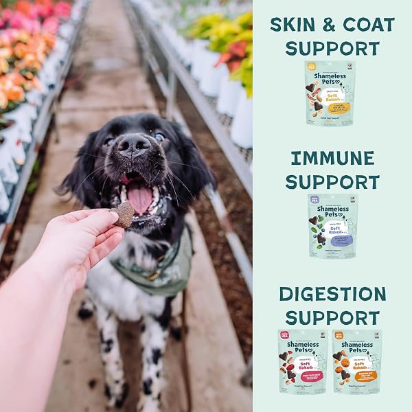 SHAMELESS PETS SOFT-BAKED DOG TREATS, VARIETY 5-PACK – NATURAL & HEALTHY DOG CHEWS FOR SMALL, MEDIUM & LARGE DOGS – BISCUITS BAKED & MADE IN USA, FREE FROM GRAIN, CORN & SOY