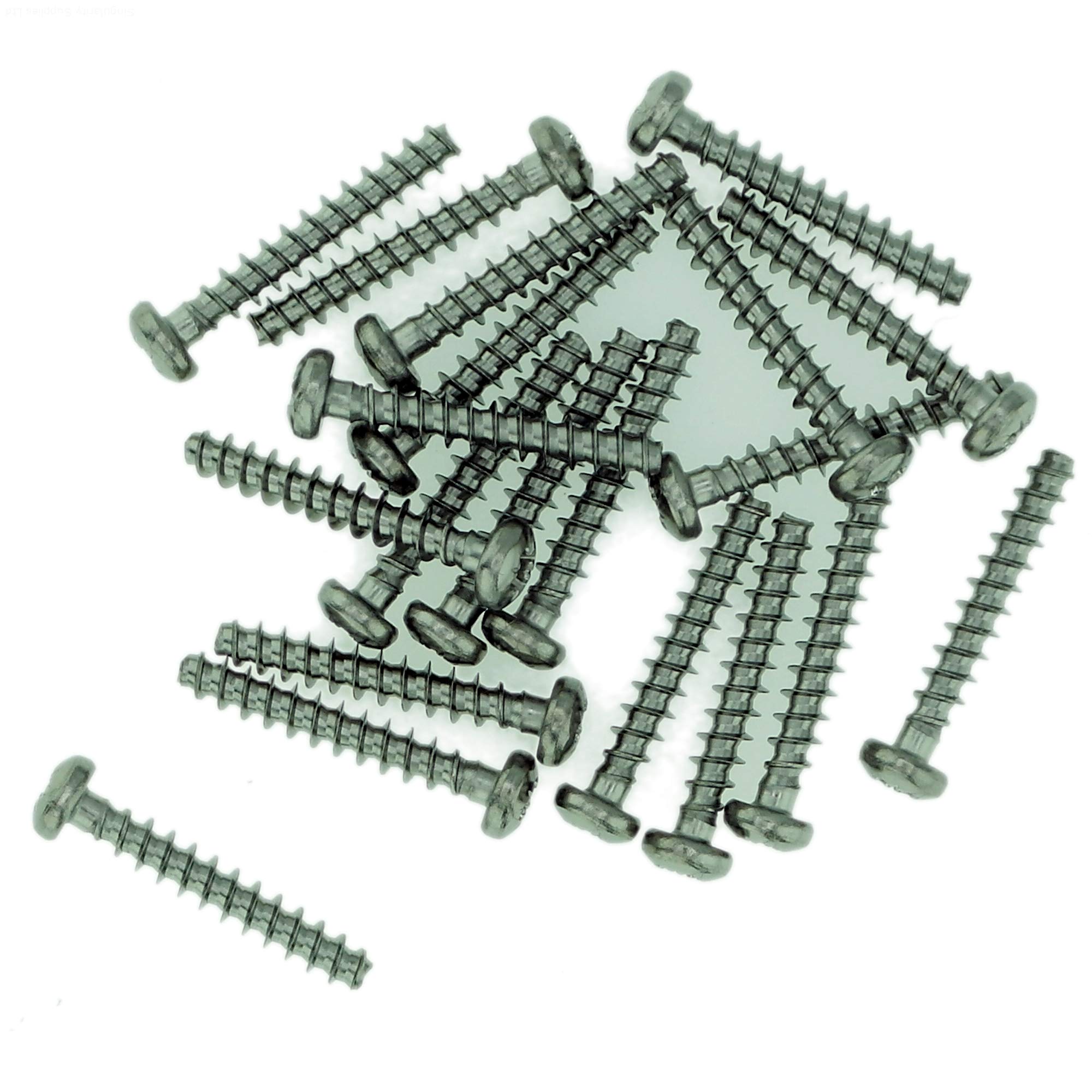 D3 (3mm x 10mm) Pozi Pan Screws for Plastic - Stainless Steel (A2) (Pack of 20) — image 1