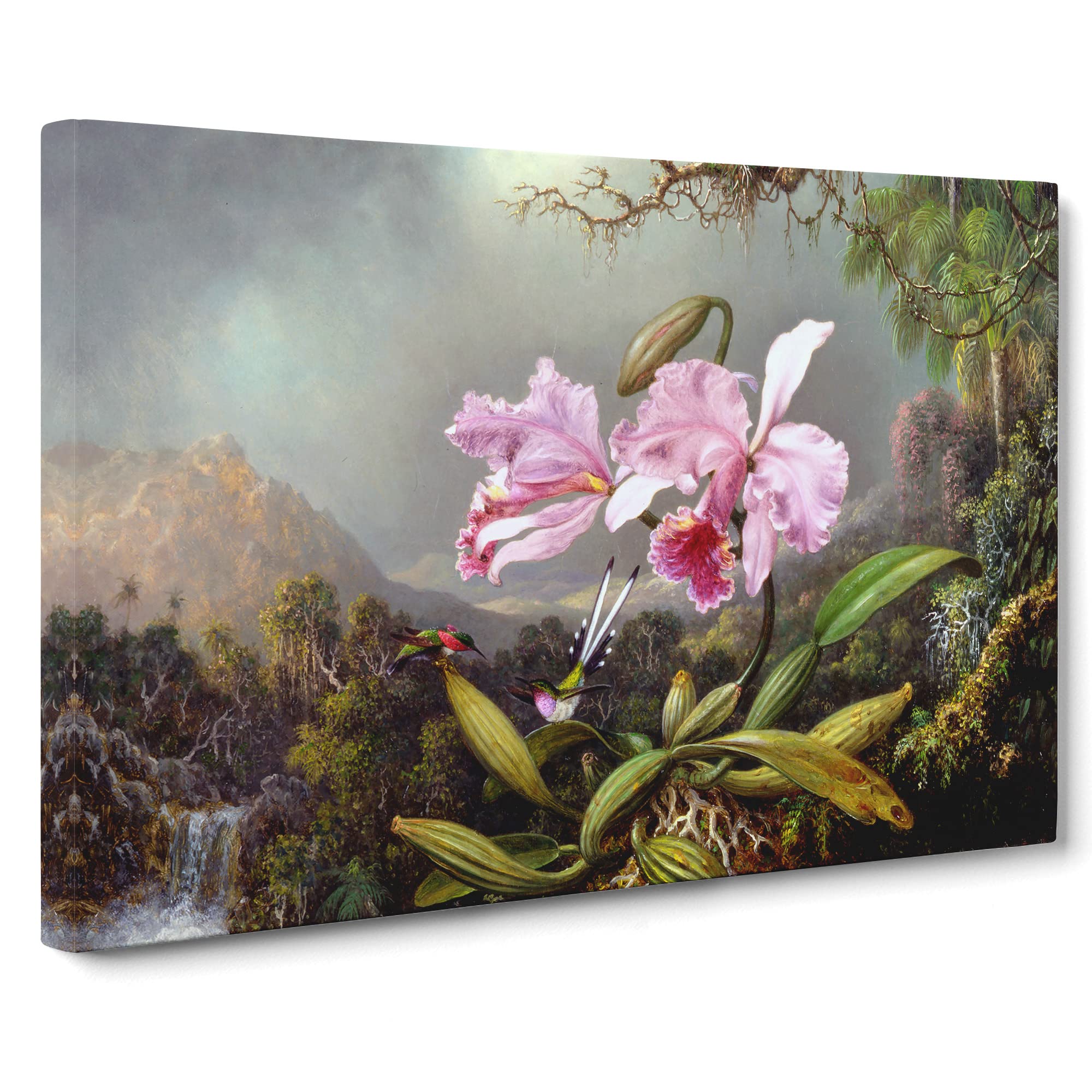 Martin Johnson Heade Orchid Study Canvas Print | Gallery Wrapped 30mm Frame Wall Art | 20x14 inches | Ready to Hang | Modern Floral Picture | Living Room Bedroom Lounge Office