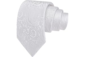 GUSLESON 3.15"(8cm) Fashion Paisley Ties Mens Woven Jacquard Necktie for Wedding