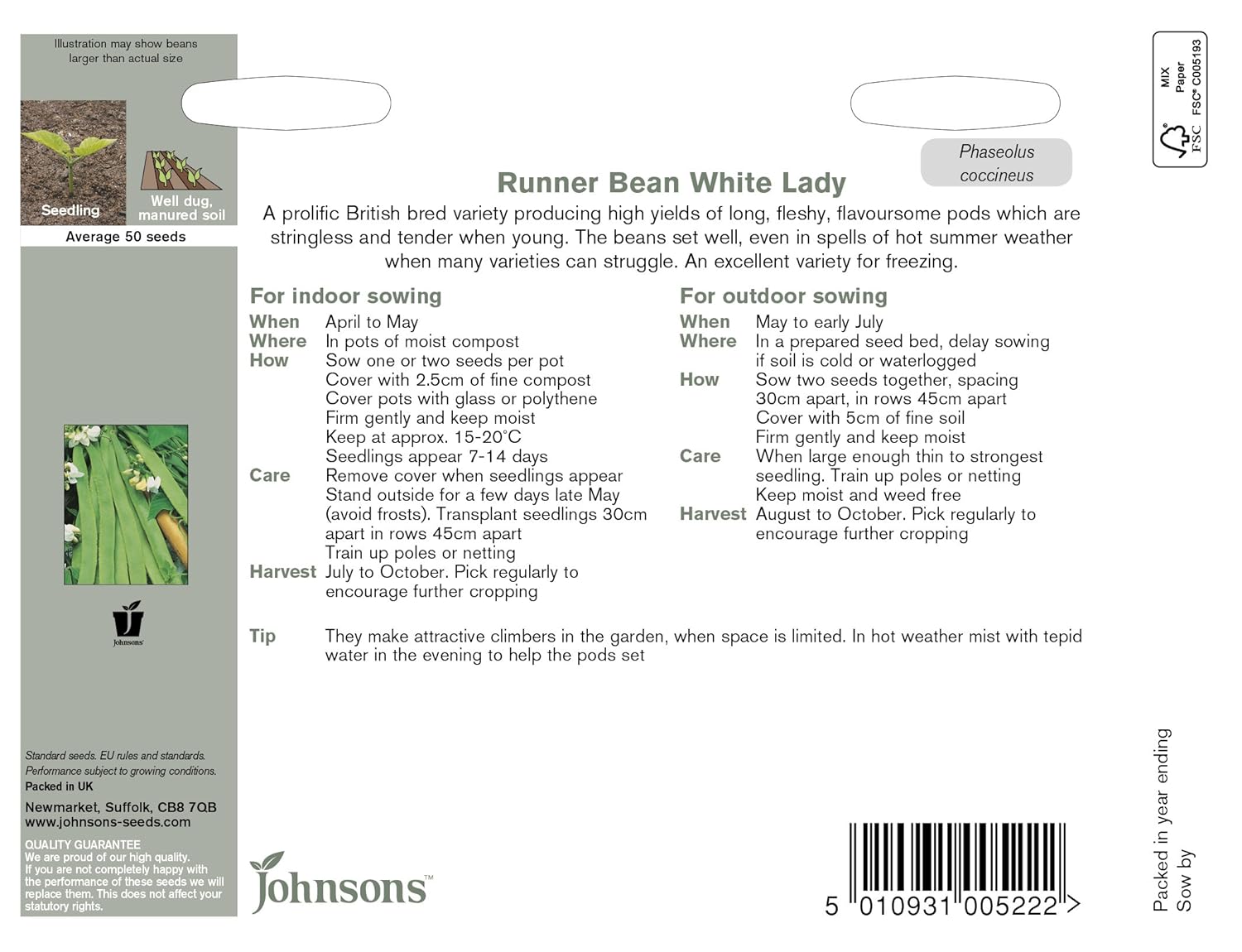 Johnsons UK/Jo/PB Runner Bean Blanco Lady: Amazon.es: Jardín