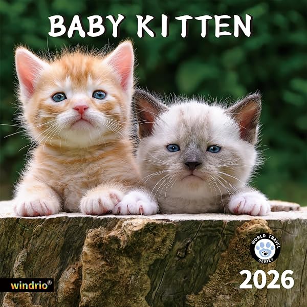 365 Kittens-A-Year Picture-A-Day® Wall Calendar 2026: The World's