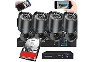 3000TVL Home Security System Surveillance DVR Camera Kits, 4pcs Wired 5MP IP Night Vision Cameras Set with AI Motion Person V
