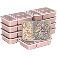 Bentgo 20-Piece Glitter Lightweight, Durable, Reusable BPA-Free 2-Compartment Containers - Microwave, Freezer, Dishwasher Safe (Glitter Garden Edition - Sweet Pea Glitter)